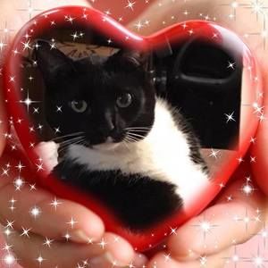 Meet your Posher, Trisha